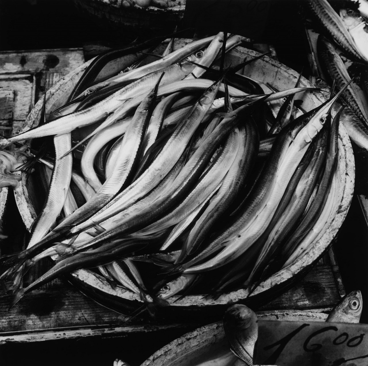 Peter Hujar, Homage to Lilo Raymond (Naples Fish), 1978, zdj.: The Peter Hujar Archive, Artist Rights Society (ARS), New York and Pace Gallery.